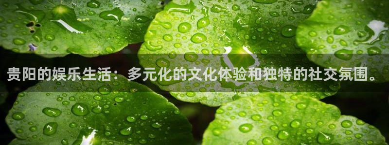 天顺娱乐